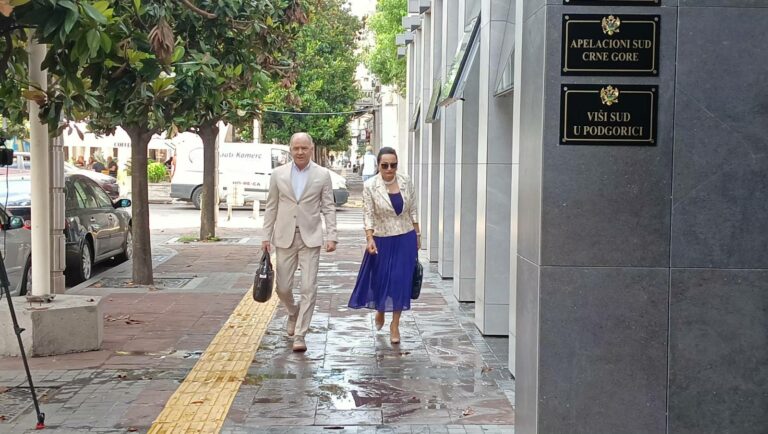 Medenica prijetila: Rušiću i ja, nije Vesna kriminalka