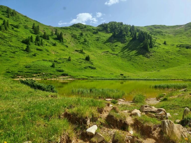 Sunčano i vruće, temperatura do 37 stepeni