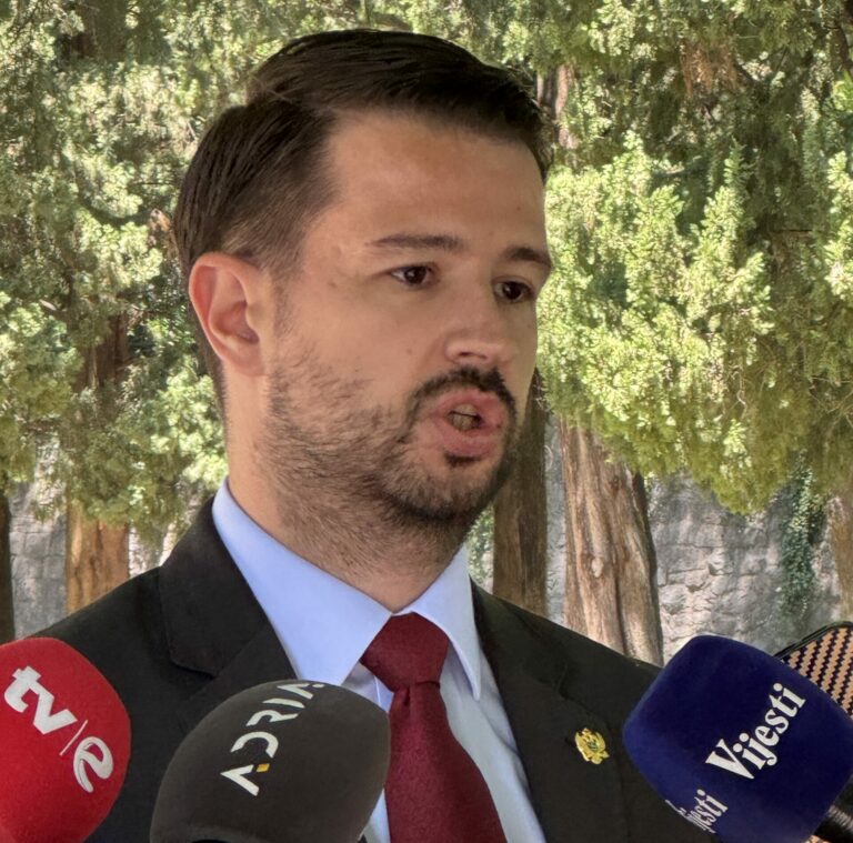 Milatović: Minimalna zarada polovina vrijednosti potrošačke korpe