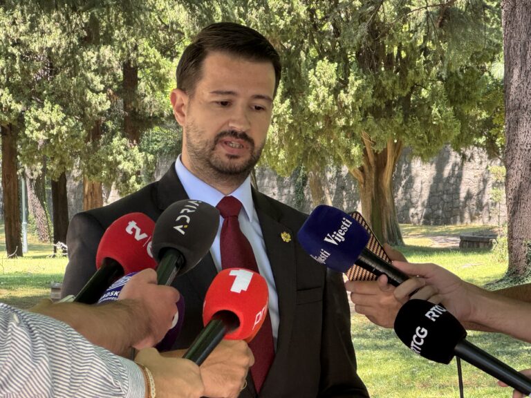 MILATOVIĆ: Crna Gora ne smije ugroziti decenijama izgrađivan penzioni sistem