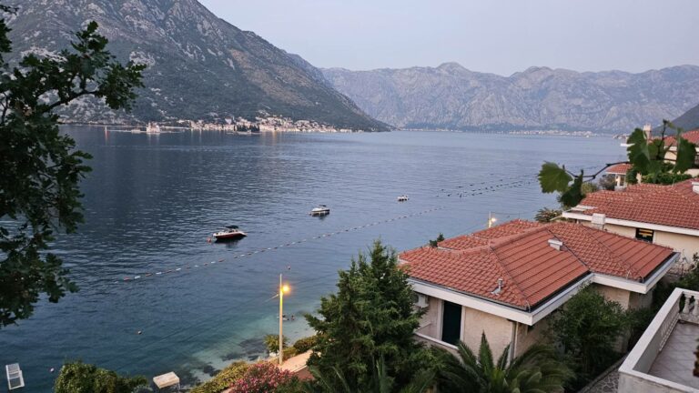 Kotoraninu 15 dana zatvora zbog odbijanja testa na narkotike