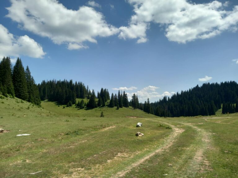 Vjetar i na sjeveru i na jugu, za vikend prestaje