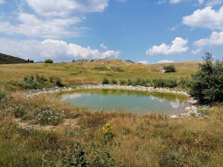 Pretežno sunčano, popodne više oblaka, do 39 stepeni