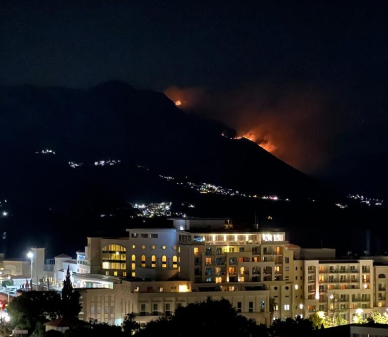 Požar nadomak kuća u Reževićima