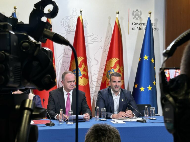 Đeljošaj: Kao resorni ministar sam dao stav Vlade, Spajić je iznio lični stav