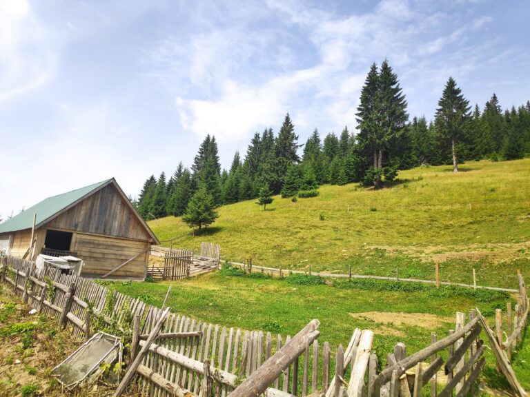 Danas sunčano, povremeno umjerena oblačnost, do 36 stepeni