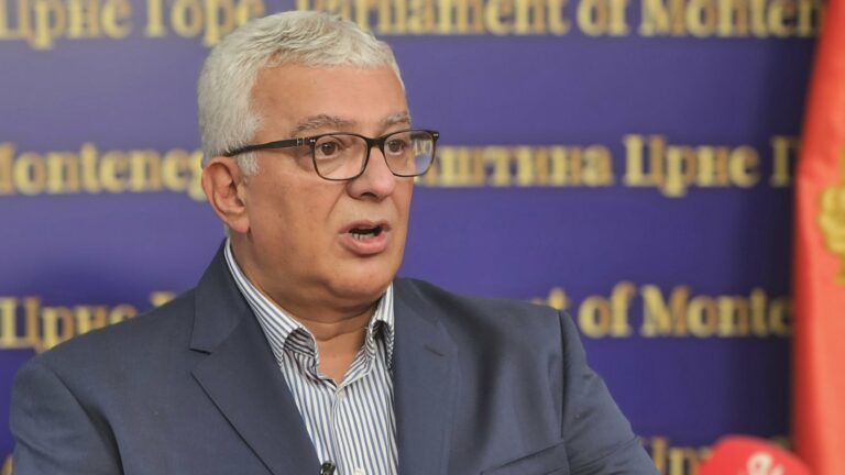 Mandić: Na hapšenje Bratić smješkaju se članovi klanova, zelenaši, kriminalci…