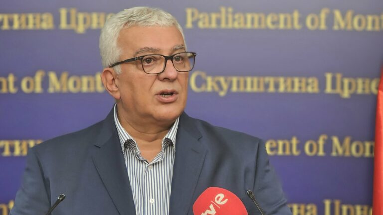 Mandić: Treba da se razgovara, naši ministri podržaće zahtjeve DNP na Vladi