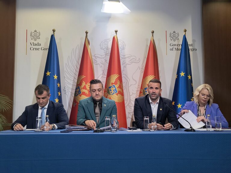 Vukićević: Nije bilo interesovanja Srbije za crnogorske Aerodrome