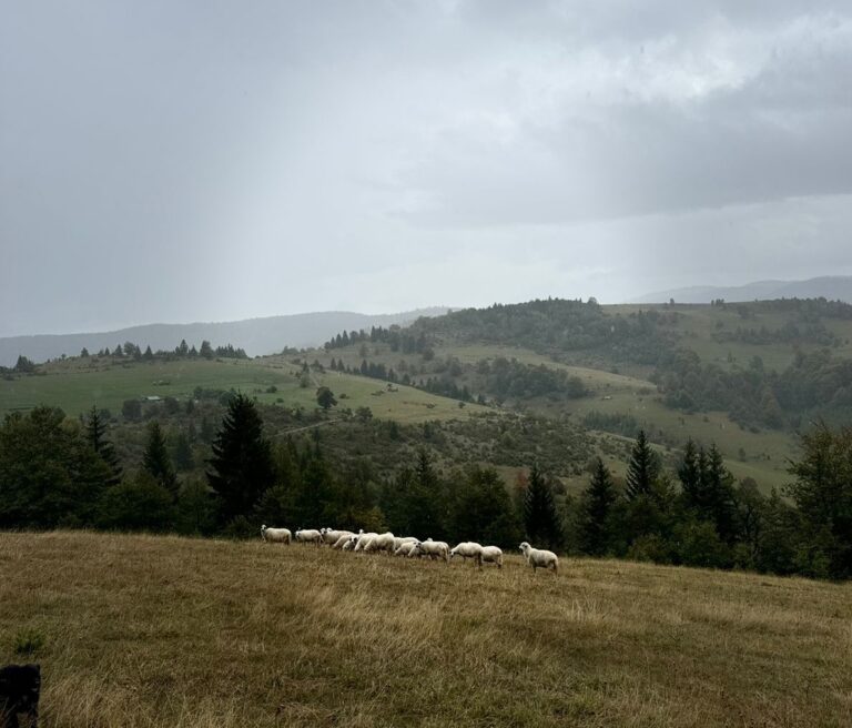 Pretežno oblačno, do 17 stepeni