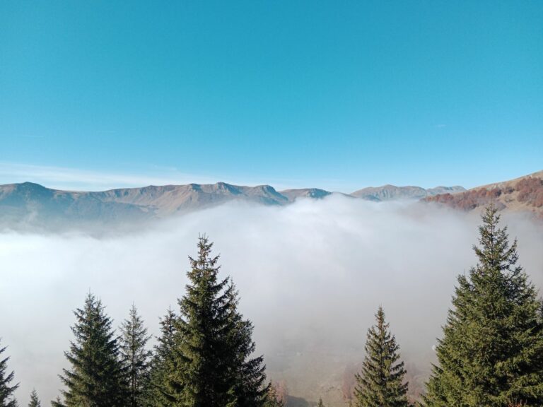 Pretežno sunčano i toplije, do 17 stepeni