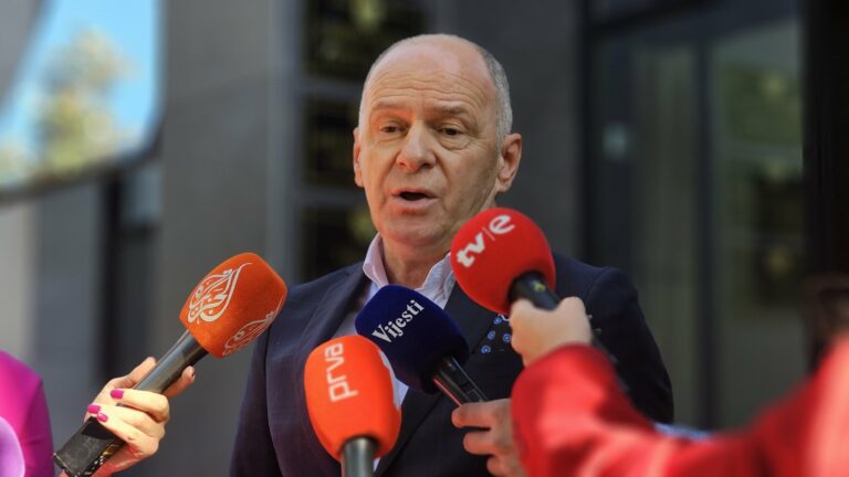 Begović: Tražimo da vještak utvrdi da li je Medenica sposobna da učestvuje u procesu suđenja