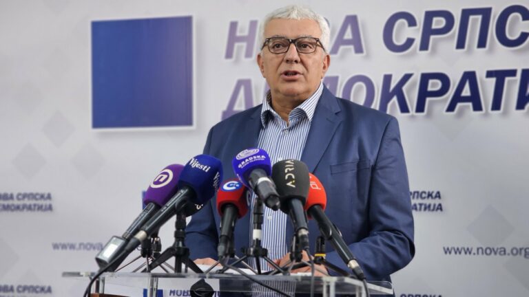 Mandić: Kad su Srbi složni niko nam ništa ne može