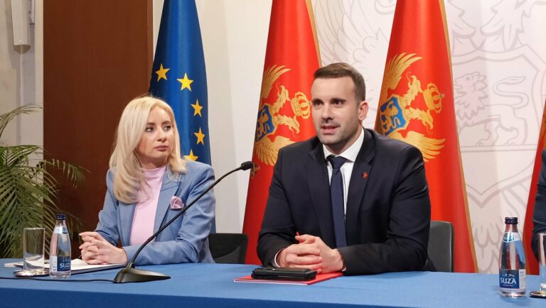 SPAJIĆ: Od 15. aprila počinje implementacija SEPE, prvi pretrčali taj cilj