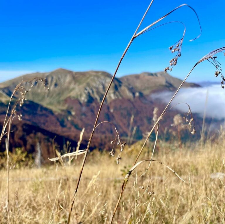 Sunčan i topao dan, do 21 stepen