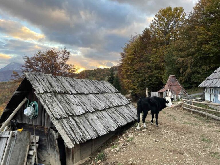 Mjestimično pljuskovi i grmljavina, biće i vjetra