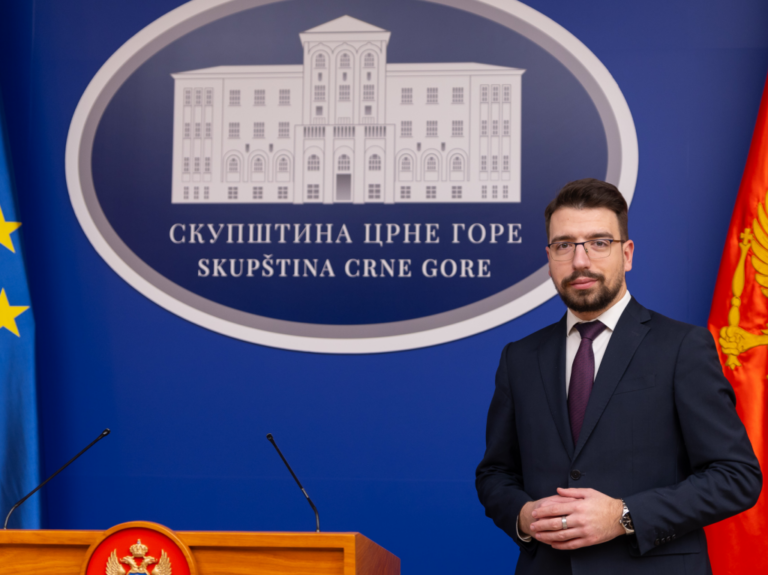 Miličić: NSD simbol borbe za trobojku, podržavamo Predlog zakona