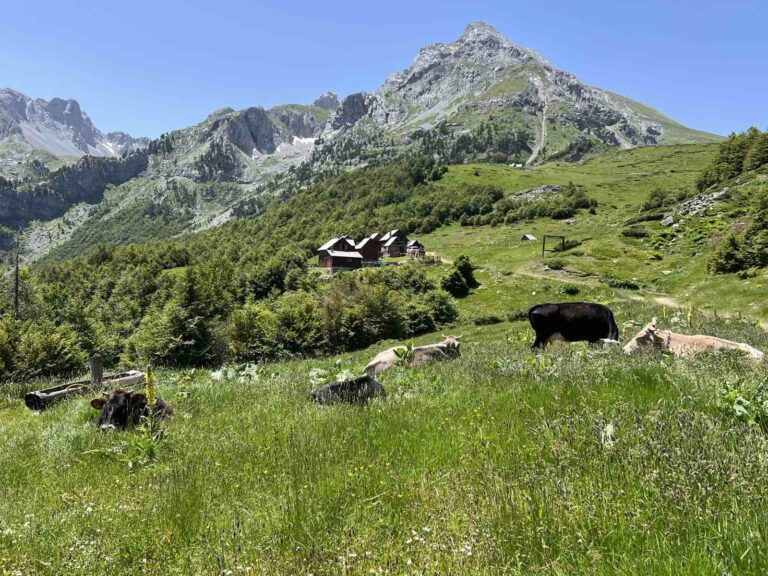 Sunčano, najviša dnevna 39 stepeni