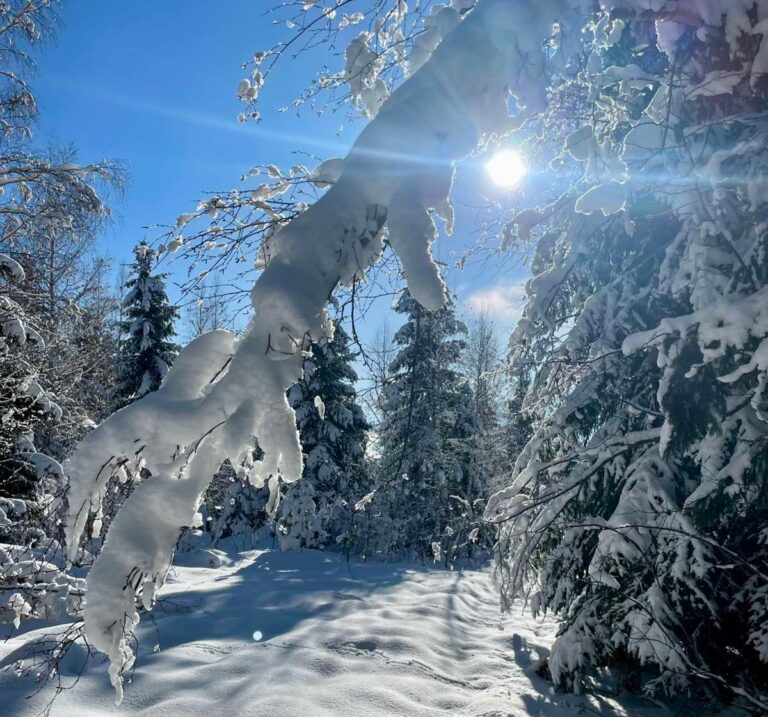 Ledeno novogodišnje jutro u Crnoj Gori: Temperature ispod nule i na primorju, evo gdje je najhladnije