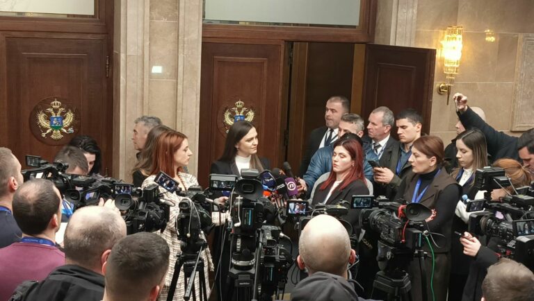 Andrić: Fingirana kriza u Bijelom Polju, jedini cilj jačanje pregovaračke pozicije Bošnjačke stranke