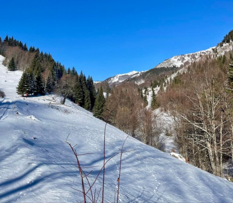 Sunčano i vjetrovito, do 16 stepeni