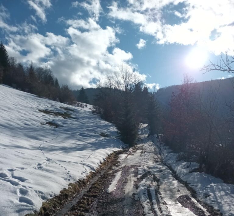 Danas sunčano uz umjerenu oblačnost