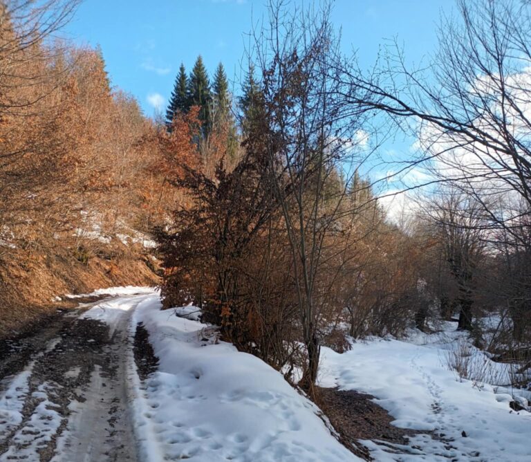 Pretežno sunčano, vjetar umjeren do jak