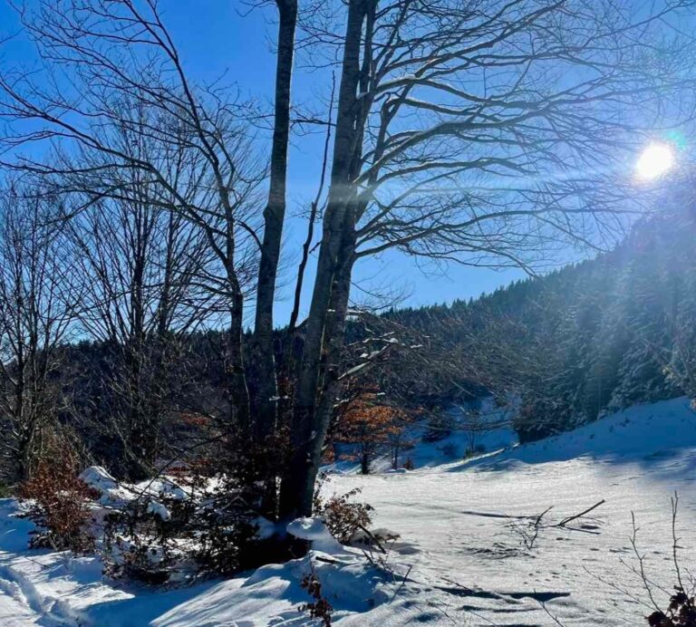 Danas sunčano, do 19 stepeni