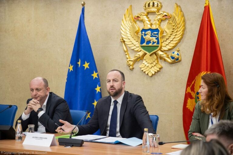 Sa radom počeo Anketni odbor: Ako dobiju pozitivan odgovor ministarstva, baviće se nizom nerasvijetljenih ubistava i napada