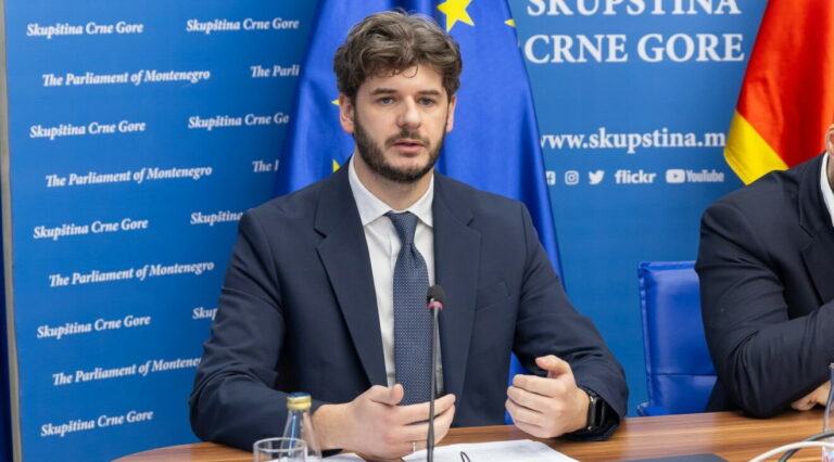 Čarapić: Dekan Pravnog fakulteta zaradio 120.000 eura zastupajući zakupca Svetog Stefana u borbi protiv države