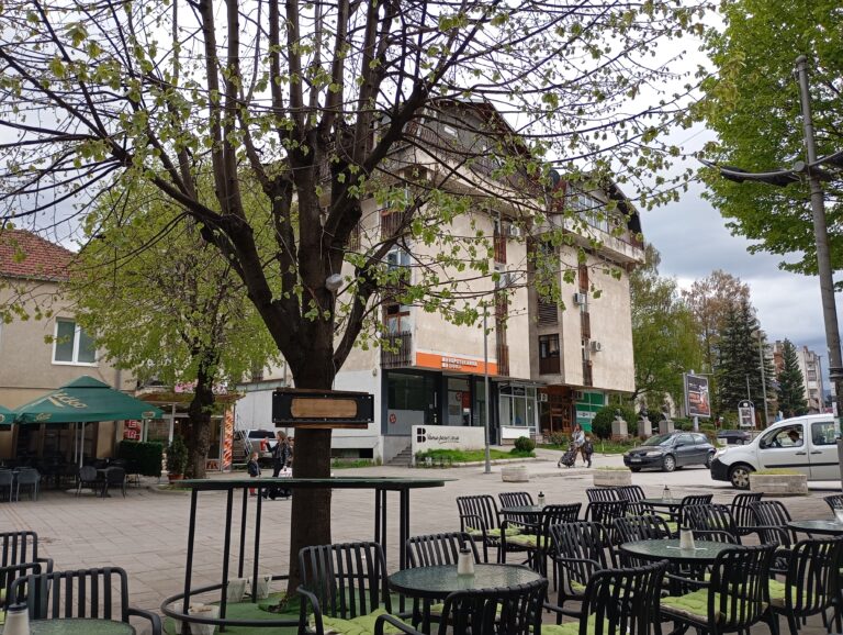 Boričić (DPS Berane): Zbog parlamentarne većine naši najmlađi sugrađani neće ostvariti pravo na besplatan vrtić