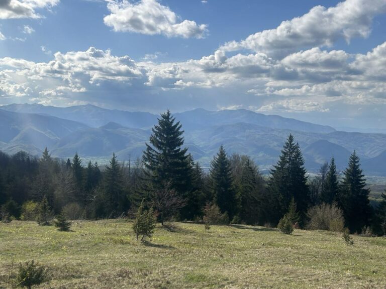Promjenljivo oblačno, temperatura do 23 stepena