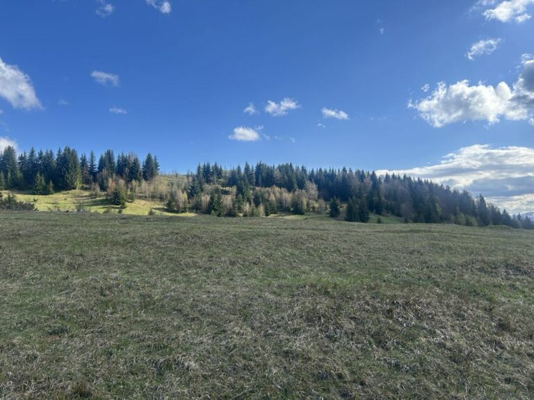 Pretežno sunčano, temperatura do 24 stepena