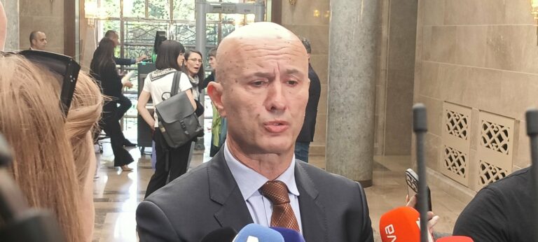 Laković: Može trobojka kao narodna, što da ne – ali sa petokrakom