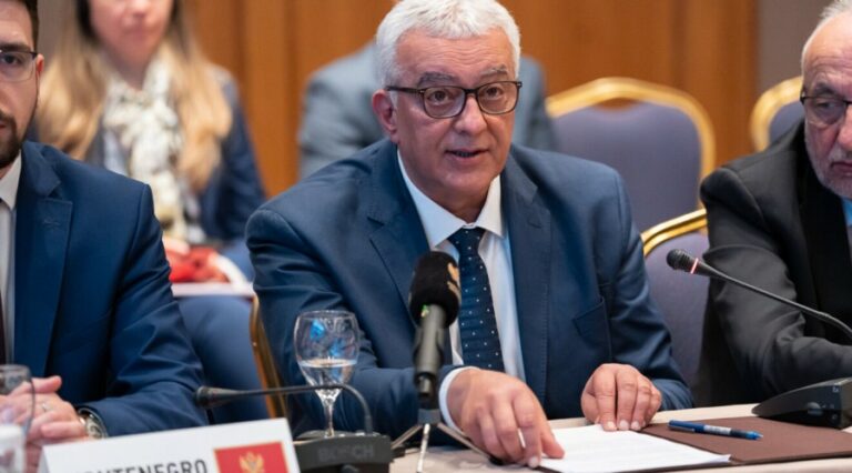 Mandić: Crna Gora duboko privržena evropskoj perspektivi