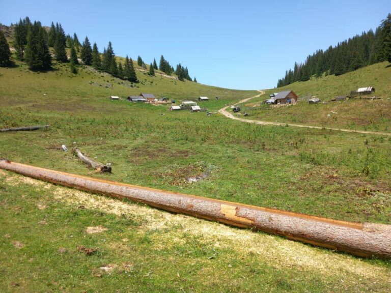 Danas do 35 stepeni