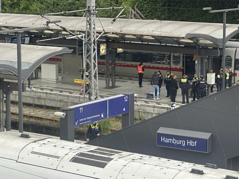 Hamburg: U napadu nožem na željezničkoj stanici povrijeđeno najmanje 12 osoba
