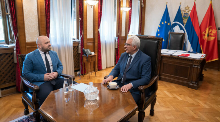 Mandić: Ne gubiti vrijeme kad je u pitanju veting, sprovesti ga do kraja godine