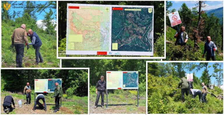 Uprava za gazdovanje šumama i lovištima: Postavljeno pet informativnih tabli u Kolašinu
