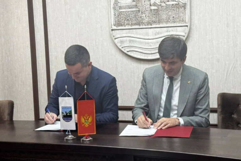 Azemović: Dani dijaspore prilika da se zahvalimo našim ljudima u inostranstvu na podršci i doprinosu