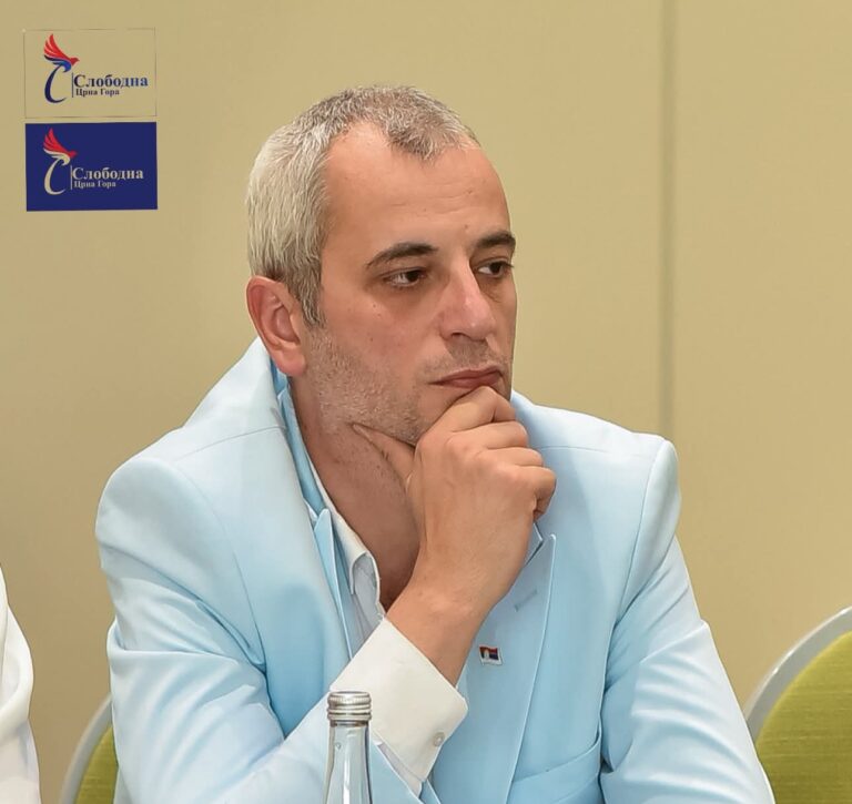 Tomić: Medenica ne brani sebe već jednu epohu koja je politički poražena