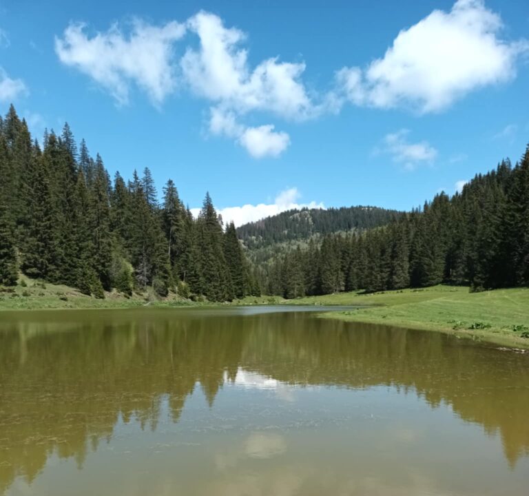 Danas sunčano i toplo vrijeme