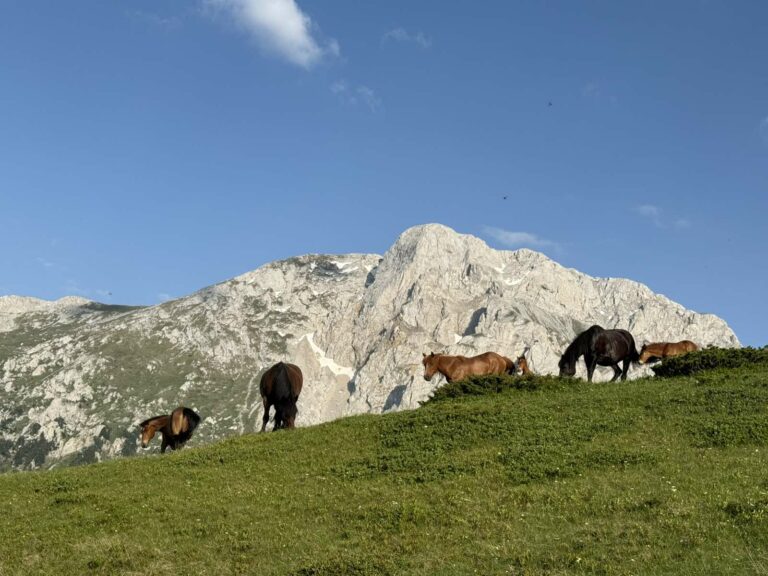 Sunčano i toplo, vjetar slab do umjeren