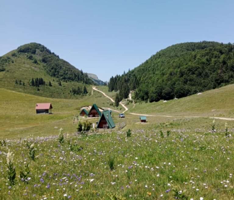 Sunčano i veoma toplo, do 38 stepeni