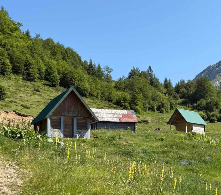 Danas sunčano, do 32 stepena