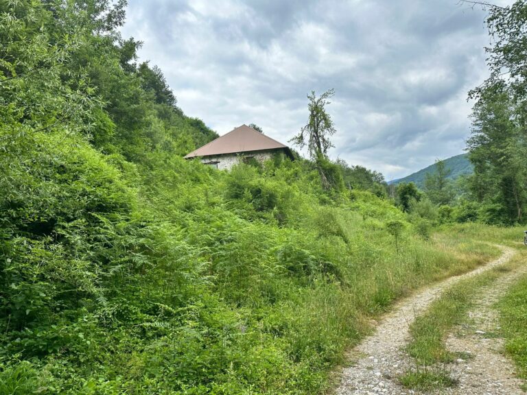 I danas jak vjetar, na sjeveru povremeno sa slabim padavinama