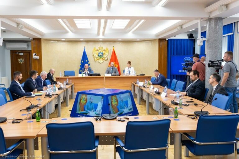 Anketni odbor da sasluša Ivana Delića, Damira Mandića, Sašu Boretu…
