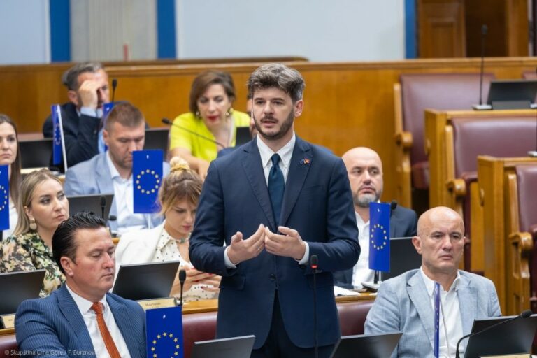 Čarapić: Vlada i Skupština više štite radnike nego sindikati i poslodavci
