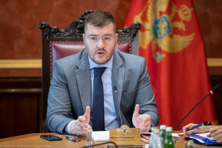 Koprivica: Kriminalna organizacija Mijajlovića pokušala hibridni državni udar, Đukanović na vrhu piramide
