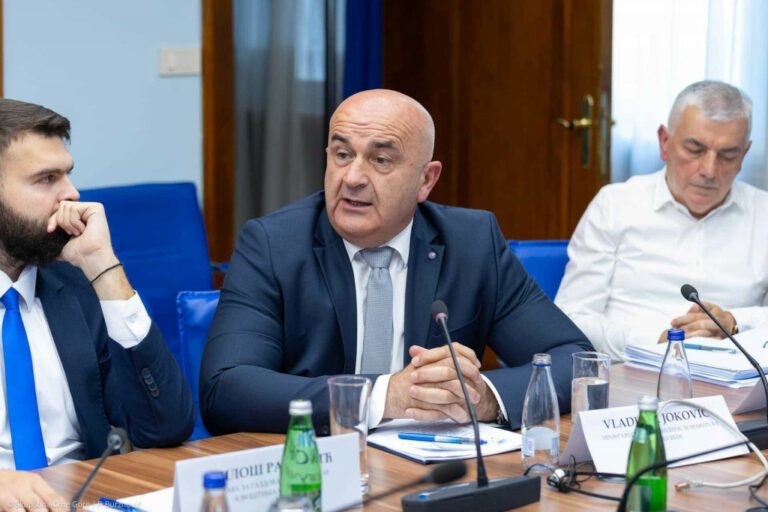 Joković: Jedinu štetu zbog nesprovođenja Zakona o šumama pretpjeli su vlasnici privatnih šuma